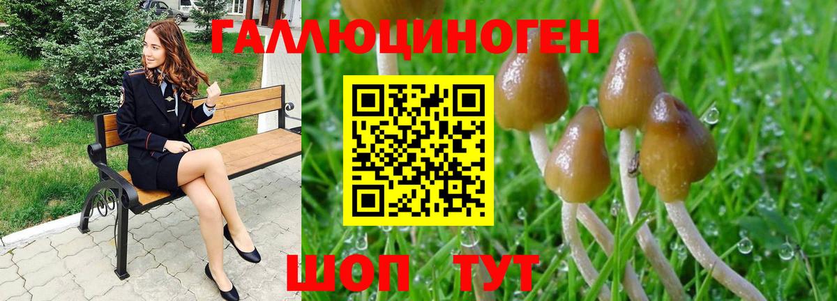 Галлюциногенные грибы Magic Shrooms  Вход с VPN  купить   Чапаевск 