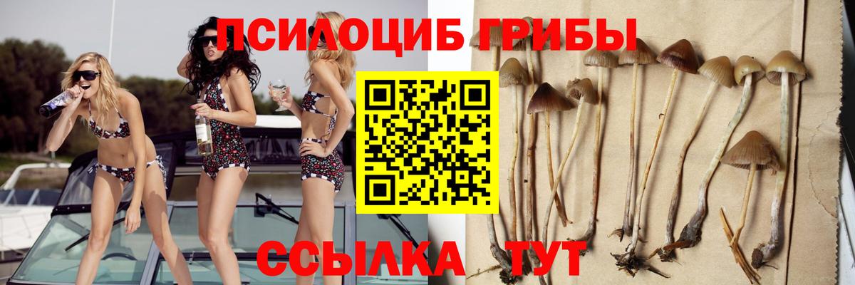 Псилоцибиновые грибы GOLDEN TEACHER Чапаевск